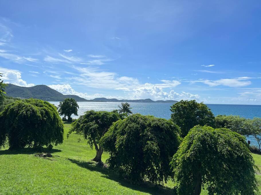 Studio Ti Paradise - Magnifique Vue Mer Et Diamant Sainte-Luce Buitenkant foto